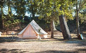 Wolfcamp Surf Moliets